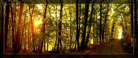 Wall panel Landscapes 004