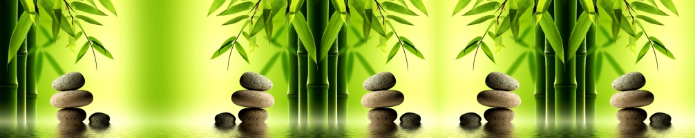 Kitchen back Flowers 077