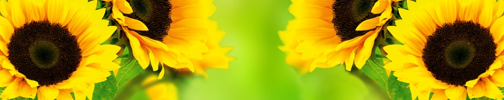 Kitchen back Flowers 080