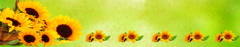 Kitchen back Flowers 081