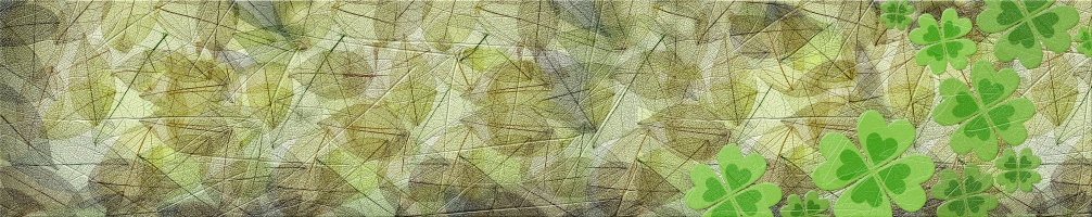 Kitchen back Flowers 083