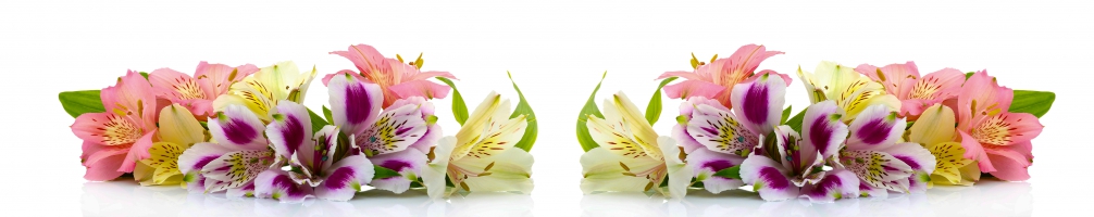 Kitchen back Flowers 086