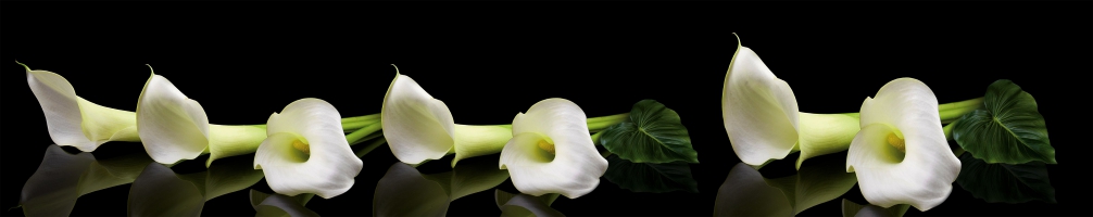 Kitchen back Flowers 082