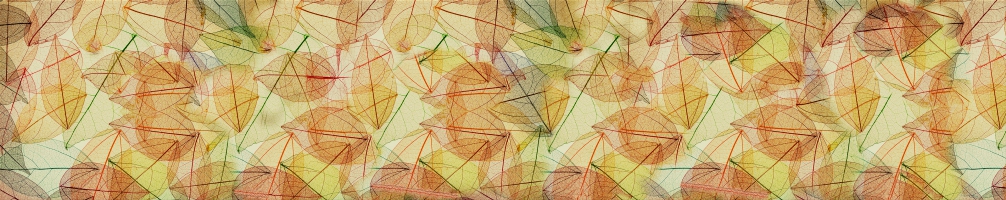 Kitchen back Flowers 084