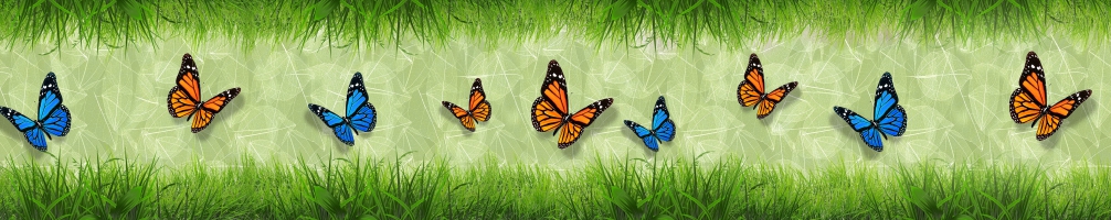 Kitchen back Flowers 085