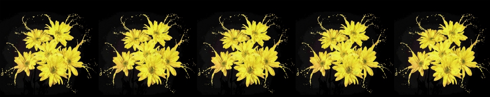 Kitchen back Flowers 076